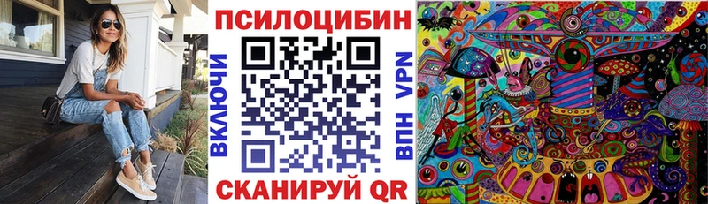 наркота Когалым Псилоцибиновые грибы Psilocybe